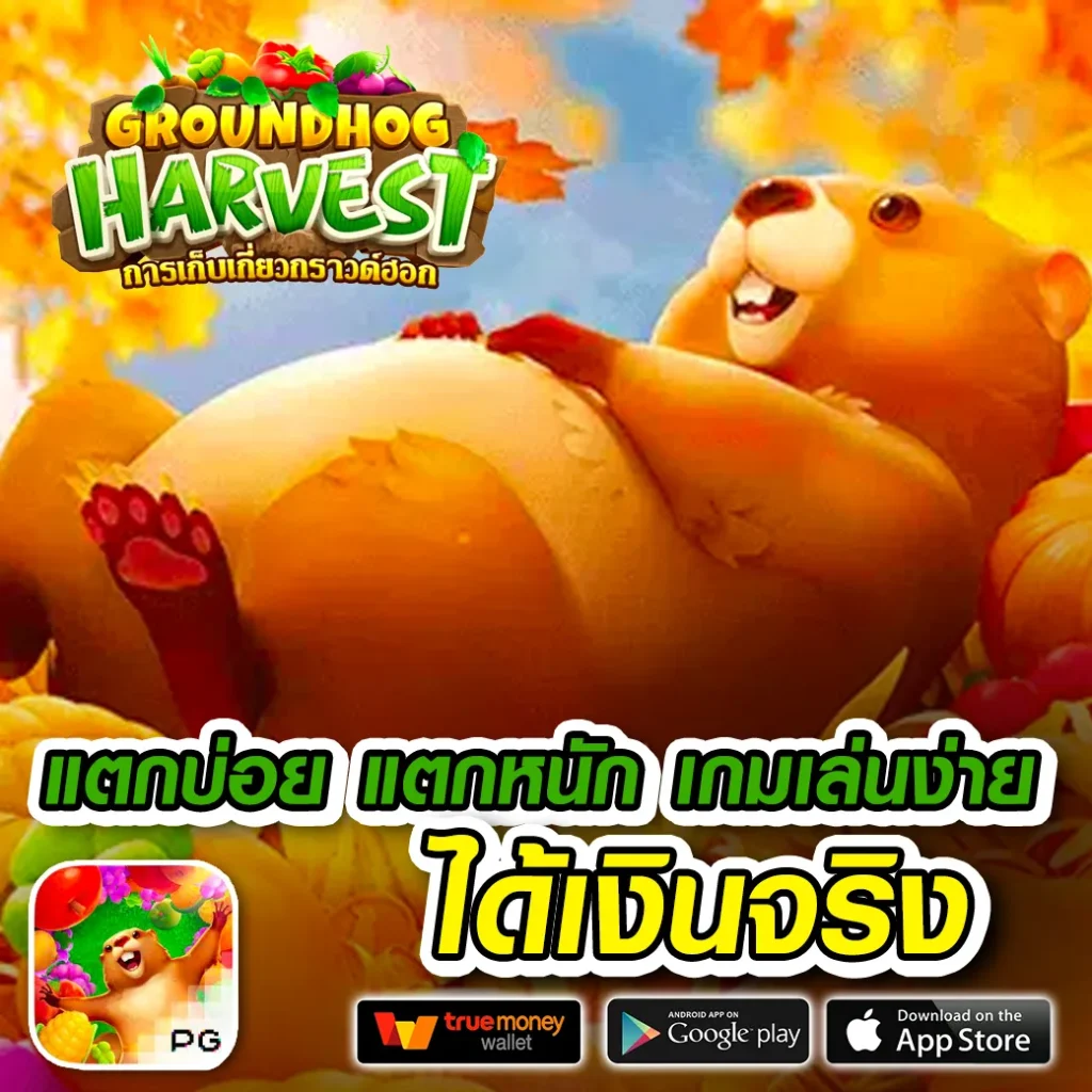 dca 365 เกมสล็อต